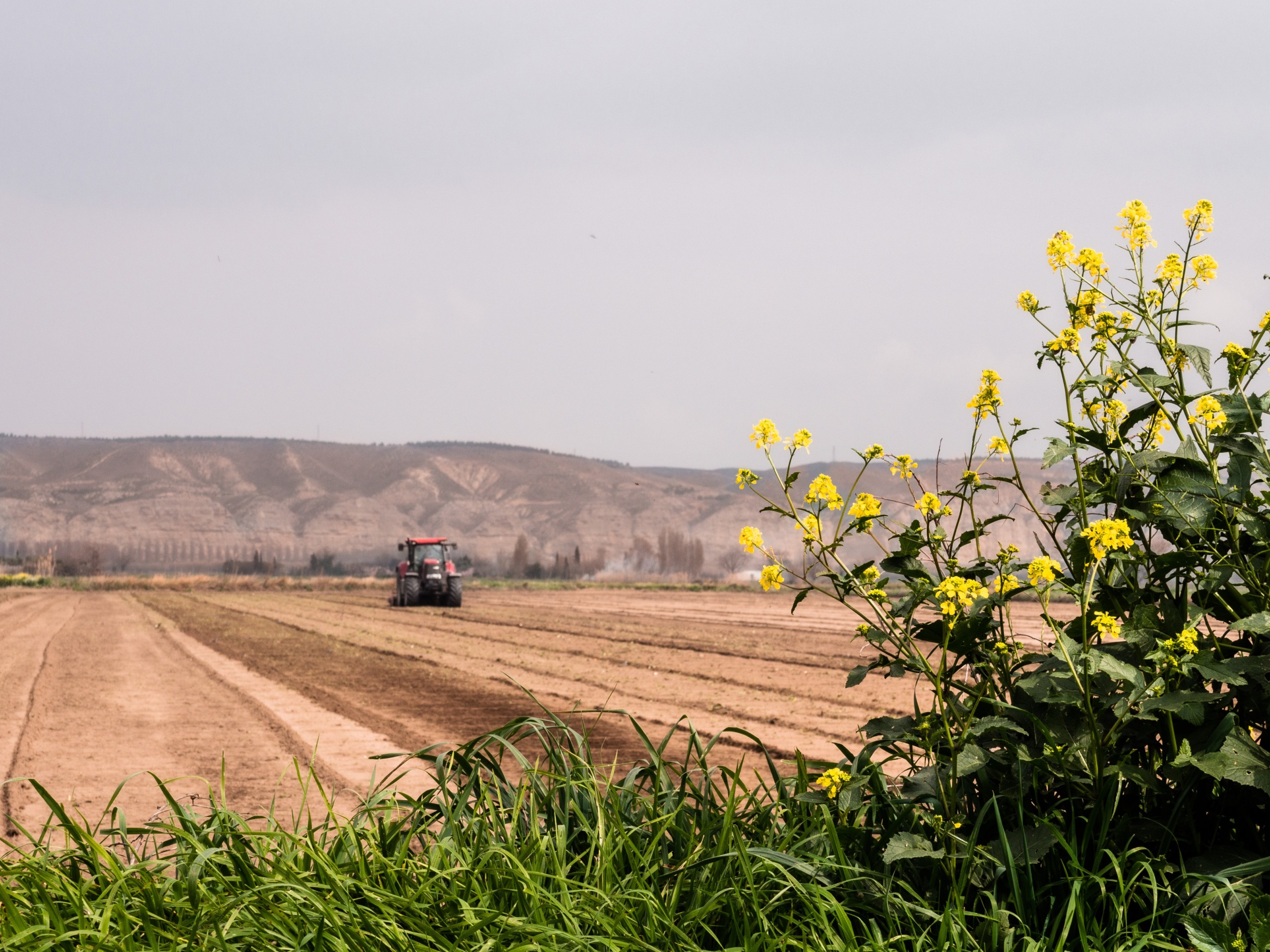 agronegócio, agribusiness, fintechs, agfintechs. Foto: Marta Ortigosa/Unsplash