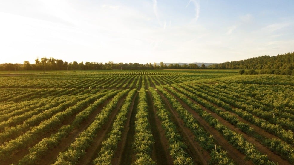 Fintechs do agro