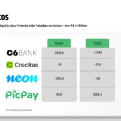 Resultados de fintechs não listadas na bolsa - 1º semestre/2025