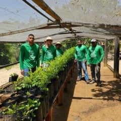Operação da Vista: superalimentos brasileiros | Imagem: divulgação
