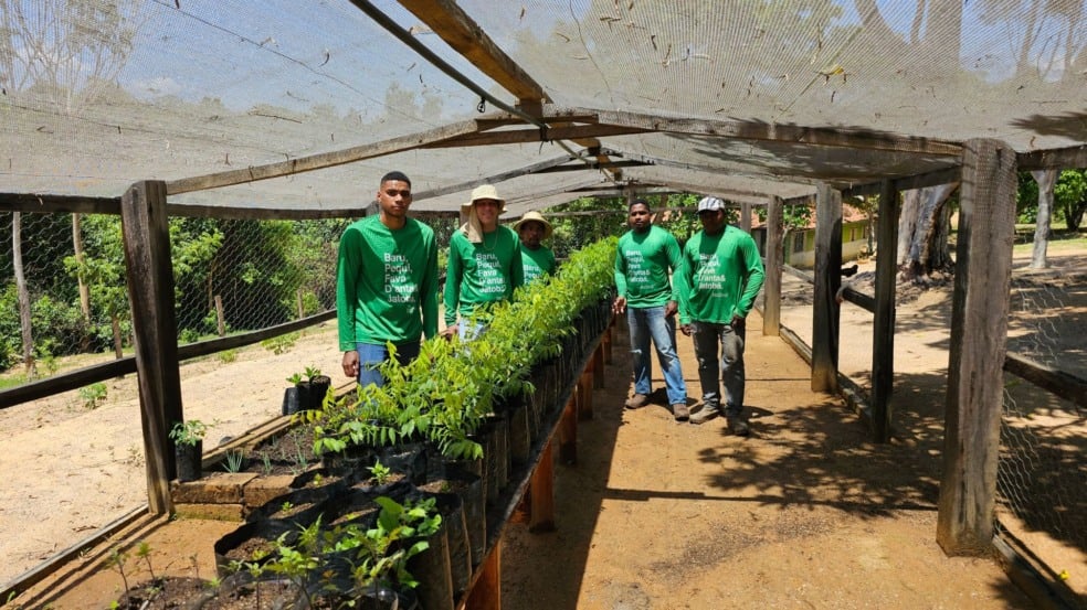 Operação da Vista: superalimentos brasileiros | Imagem: divulgação