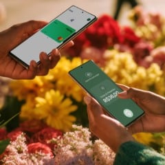 Imagem: divulga&ccedil;&atilde;o